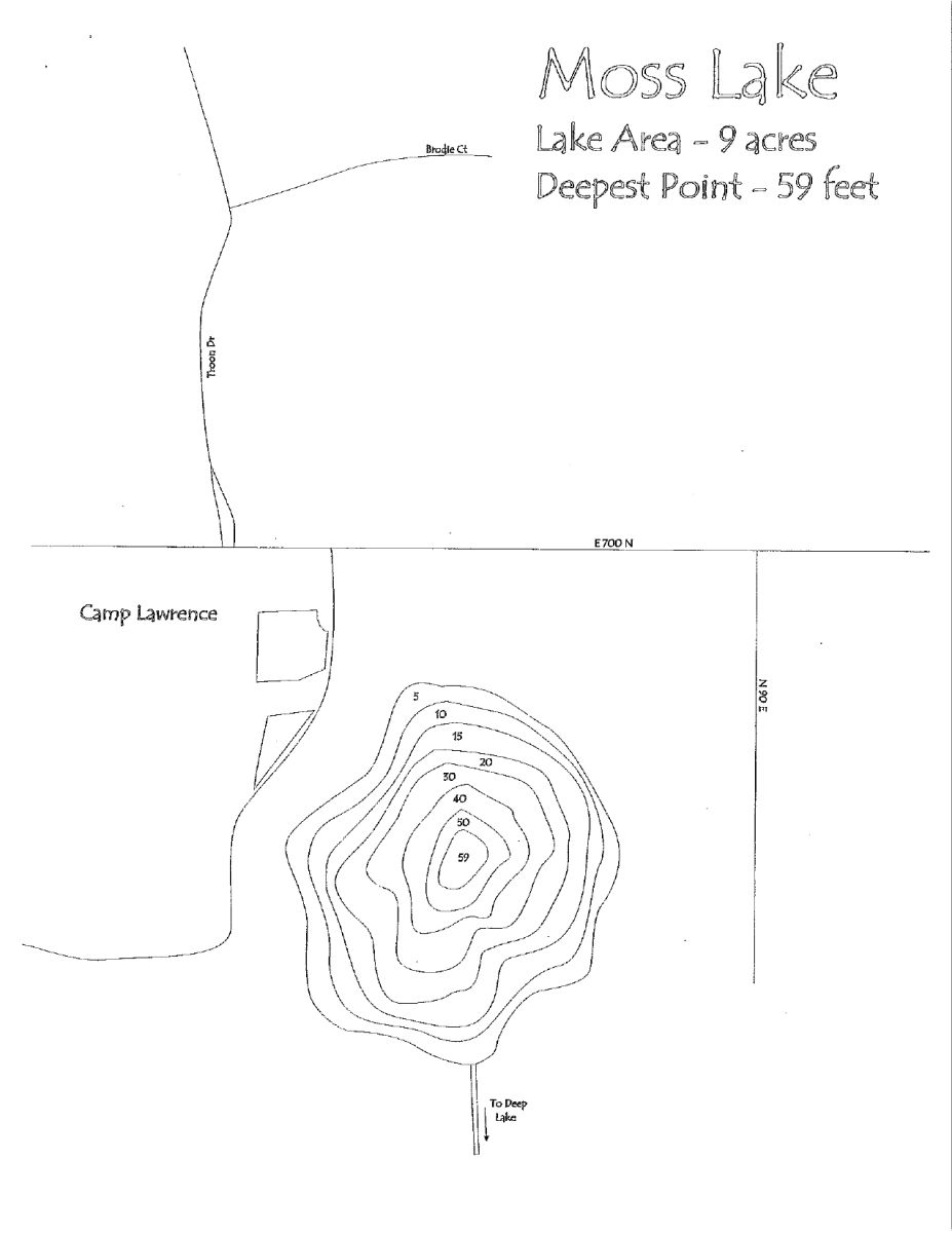 Bathymetric Map of Mink Lake