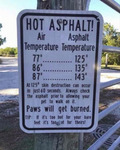 Hot asphalt caution for dog walkers